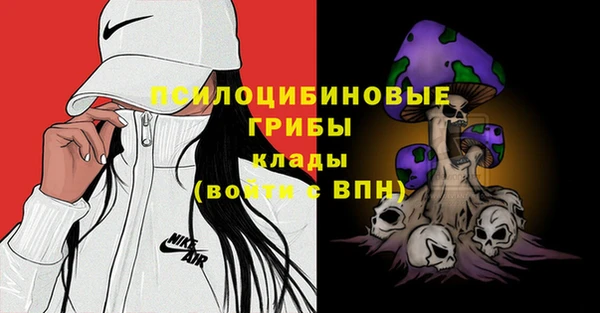 синтетический гашиш Бородино