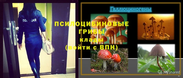 марки lsd Бугульма